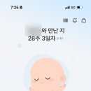 신내역로 | 베베리움 중랑점 만삭촬영 후기, 가격, 혜택 / 베누앙(라비에벨) 산후조리원 연계 만삭사진 무료촬영