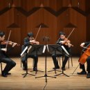 노부스 콰르텟 콘서트 이미지