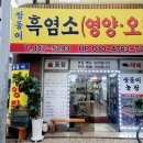 쌍둥이흑염소 이미지