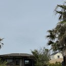 이디하우스 | 제주세화숙소추천 해수욕장 근처 독채 이디하우스n카페 내돈내산