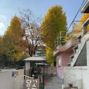 [의정부 가능동 은행나무 뷰 카페] 푸지하우스 FUJI HOUSE