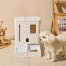 지니펫 | 넥스트유 펫지니 자동 급식기 사용해 본 후기