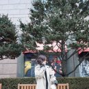 라비 앤 로즈 이미지