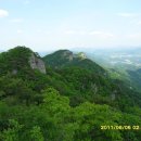 금록식육식당 이미지