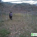 치악농장 이미지