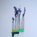 디자인 해유
