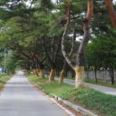 가로수길 - 김해시 칠산로335번길 2 | 가로수길