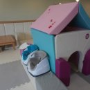 새롬어린이집 | 시흥 아기랑가볼만한 곳 아기를 위한 아이코야 베이비카페