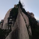 산사랑 이미지