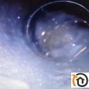 청명크리닝 이미지