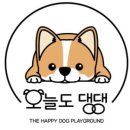 오늘도 댕댕 이미지