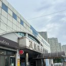 고현천로 | 거제↔김해공항 버스 이용 후기 (고현버스터미널/김해공항/버스타고어플)