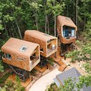 GROOMING-J 이미지