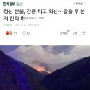 강원도 정선 산불 강풍 타고 현재 확산 중 이미지