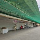 개미골프 연습장 이미지