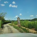 용인프로방스펜션 | 용인 수영장펜션 프로방스펜션 솔직후기