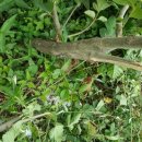 미천면사무소 내 이미지