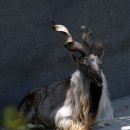 잠무농장 이미지