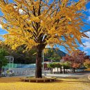 가은초등학교 이미지