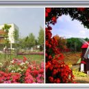 냉천 세천 이미지