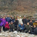 내린천약초 이미지