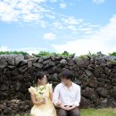 연연풍진 | [제주여행/서귀포/숙소] 제주 안덕면 연연풍진 돌담과 마당이있는 독채숙소 내돈내산 2박 3일 후기...
