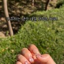 소중한 댕 이미지