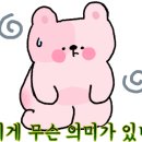 돈까스 회관 이미지