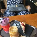 레이디벅스 이미지