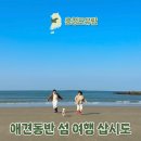 우도 선착장2 (동네슈퍼 앞) | 배타고 50분, 애견동반 섬 여행 삽시도 1박 2