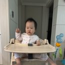 주땅이 하이체어 결국 교체_야마토야 스쿠스쿠GL