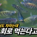 우리식탁 - 북구 동배마을길27번길 23 | 우리식탁