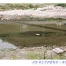 파인트리캠핑장 이미지