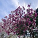 GS25 성수포레점 이미지