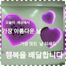 예쁜하루 이미지