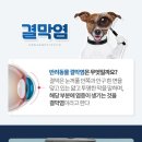 장안동물병원 이미지