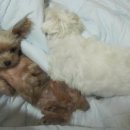 메이의산책 이미지