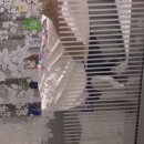 우먼아이엔지짐 이미지