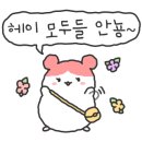 앤쥬 이미지
