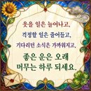 * 2026년 9월 26일 709회 (인천소래포구전어) 테마공지 이미지