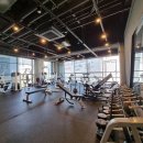 아리스 휘트니스 이미지