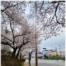 현대종묘사 | 용인 플랫폼씨티 공사현장 기록.보정동 먹자골목.삼동소바 영업중.예하랑 이전영업.