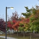청담코어디자인 | 청담 코어디자인 셀린점 내돈내산 10회 후기!