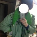 꼬방꼬방