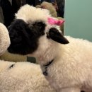 넓은정원별채 | 포천 나들이 이동갈비 맛집, 이동 정원 갈비 &amp; 평강 랜드 후기