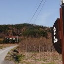 가창 송하 | 가창 송하 VS 서문시장 송하피자 시식후기~