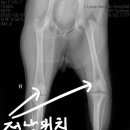 산본동물병원 이미지