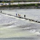 주막촌이가 이미지