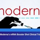 Moderna의 mRNA 부스터 샷 임상 시험 참가자들이 계속 죽어 가고 있습니다. 이미지