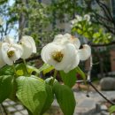 임곡휴먼시아2차 이미지